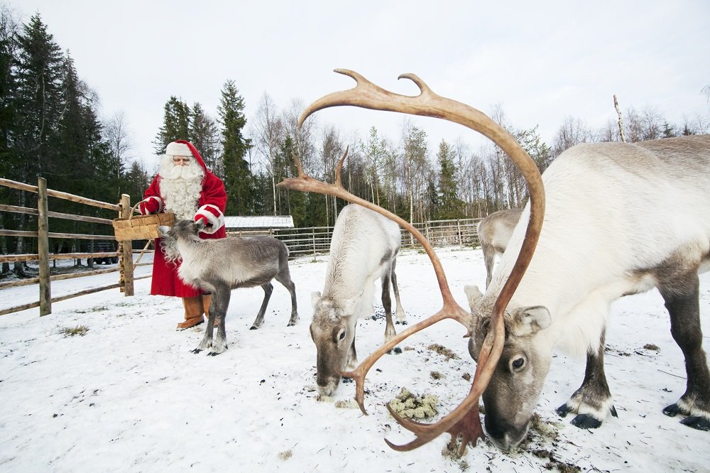 Experiencias y Lugares que ver en Finlandia en invierno
