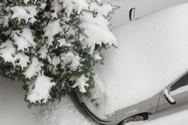 coche nieve