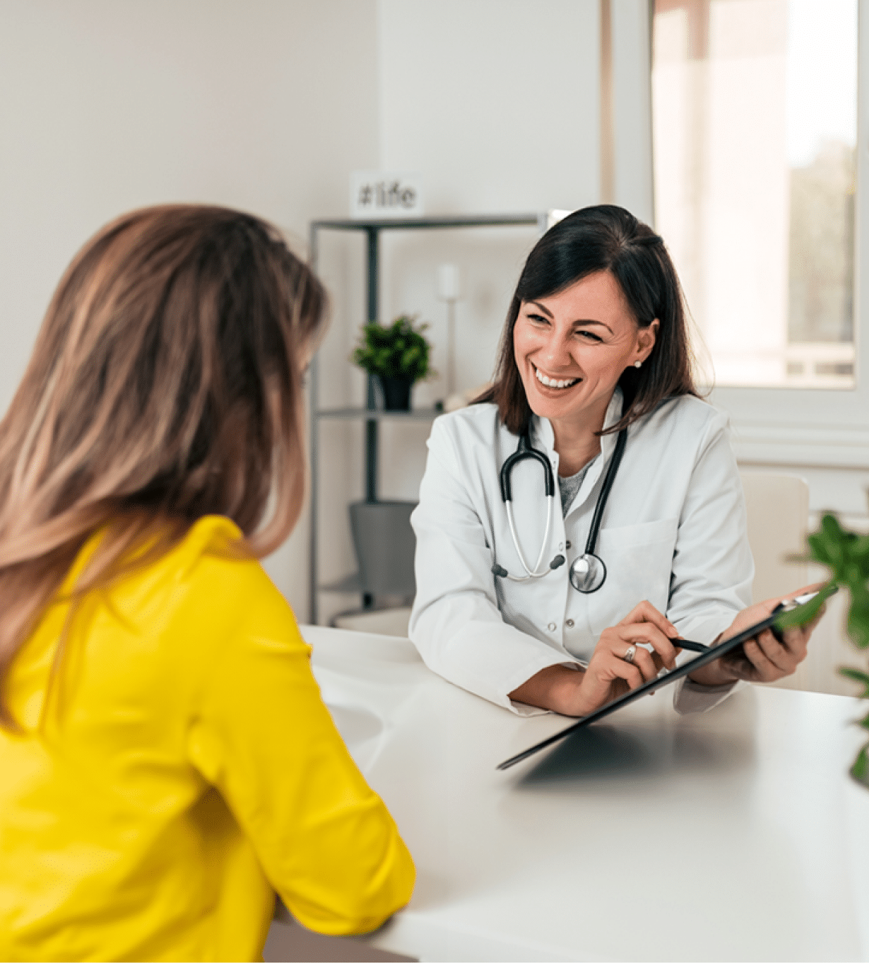 Renovacion carnet y licencias