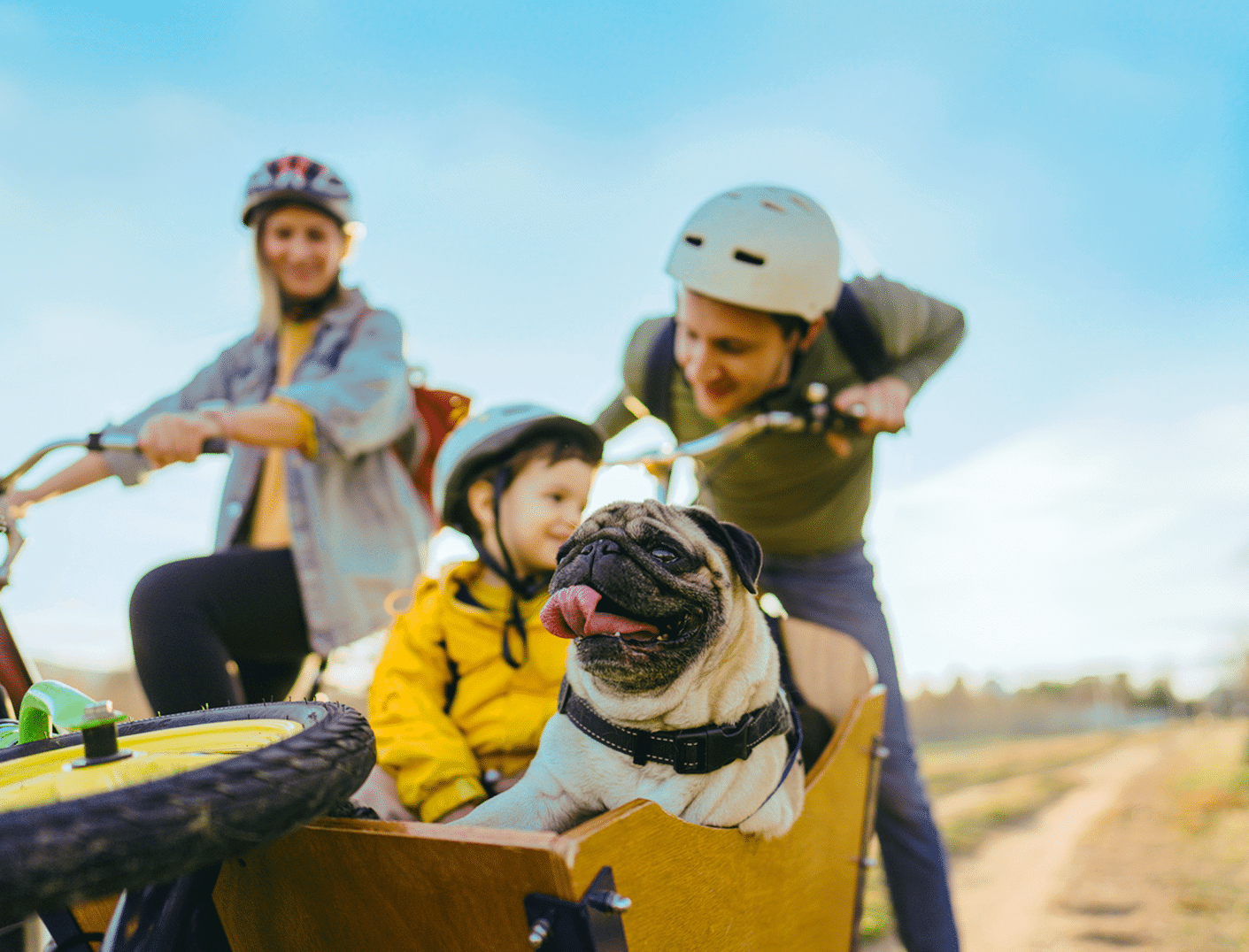 Pares, fill i gos a la natura