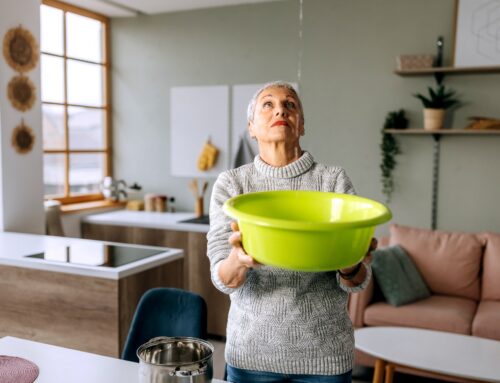 L’assegurança de llar cobreix les goteres?